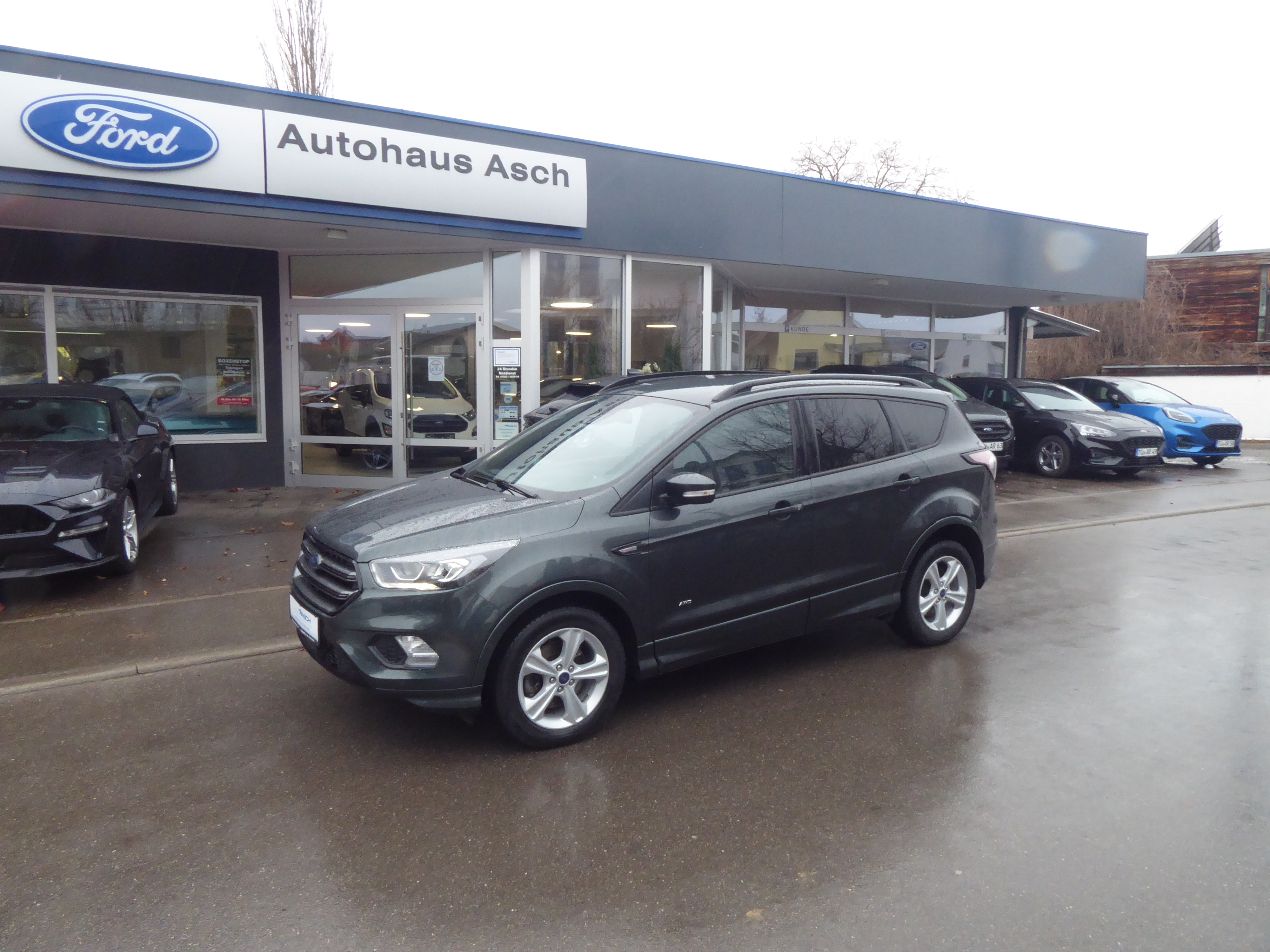 Ford Kuga Gebrauchtwagen Kaufen
