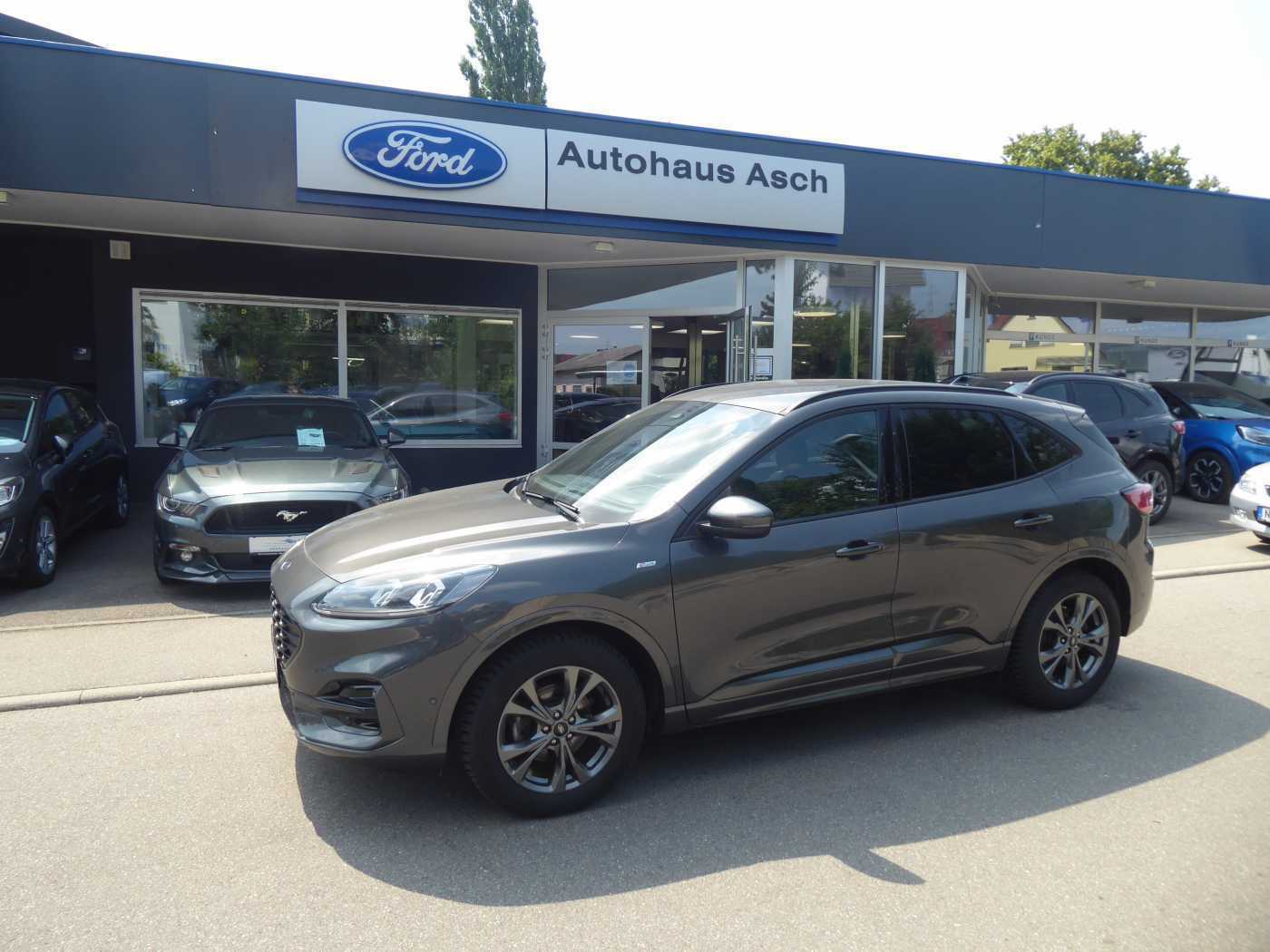 Ford Kuga Jahreswagen Kaufen
