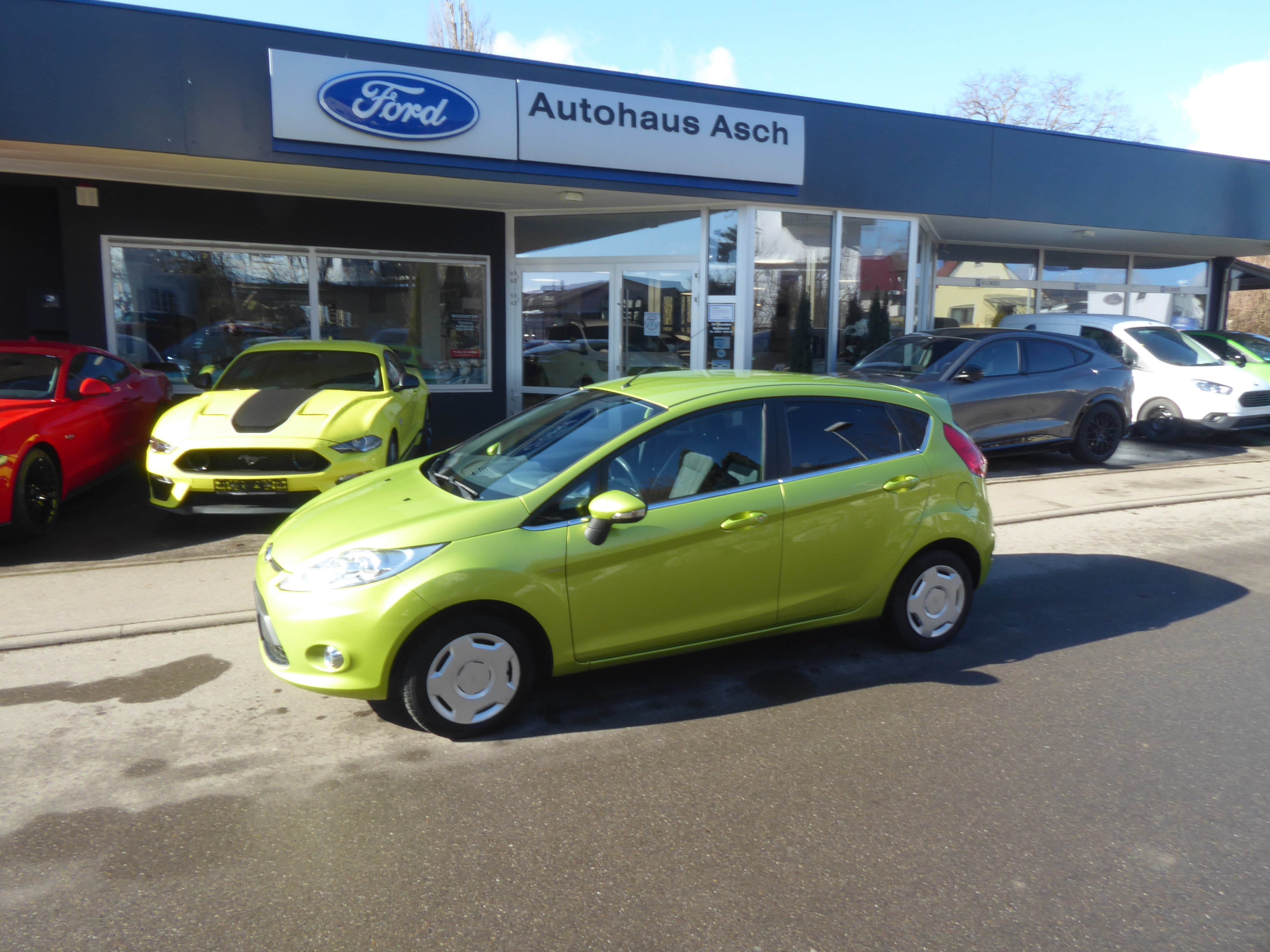 Ford Fiesta Gebrauchtwagen Kaufen