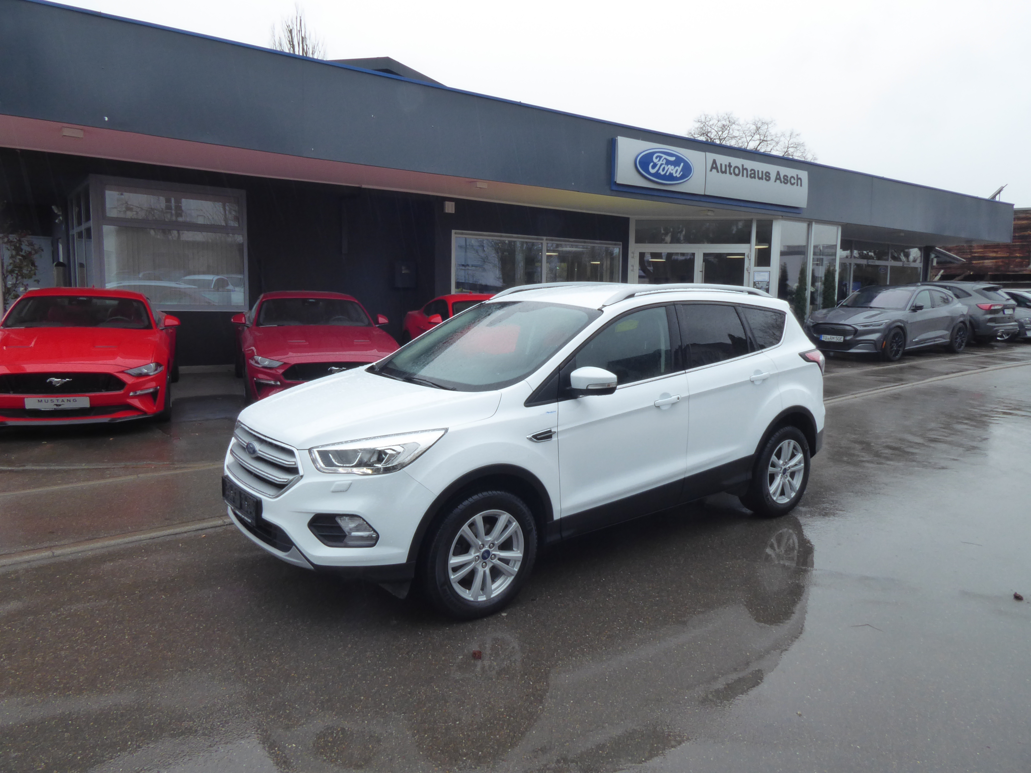Ford Kuga Gebrauchtwagen Kaufen