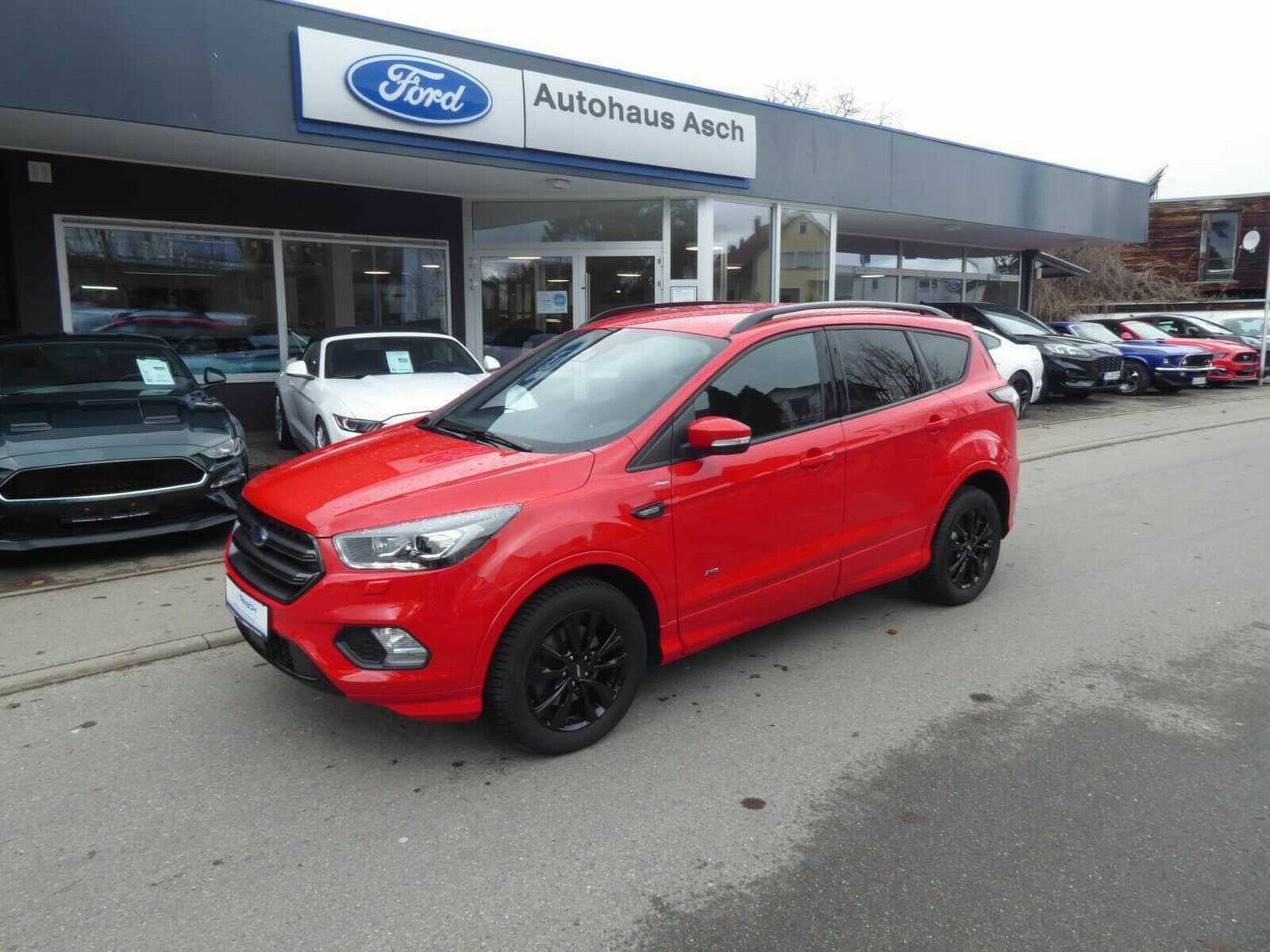 Ford Kuga Gebrauchtwagen Kaufen