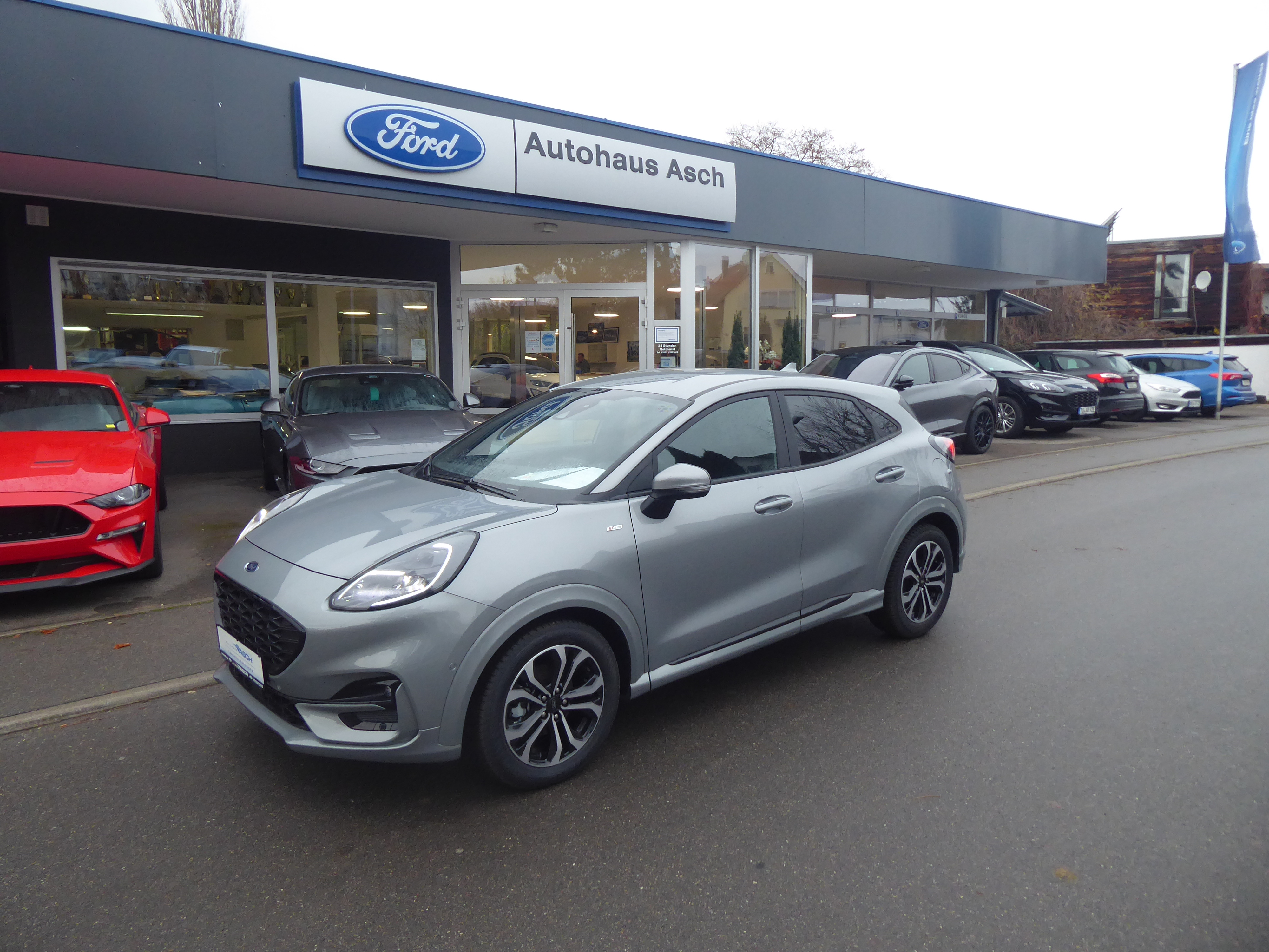 Ford Puma Vorführfahrzeug Kaufen