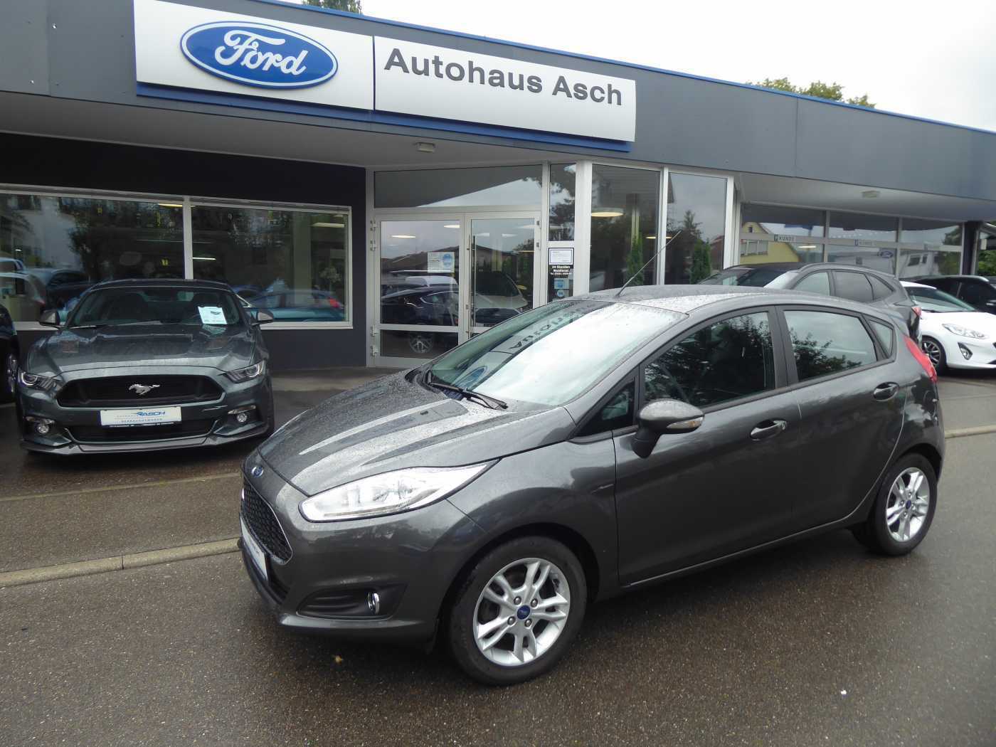 Ford Fiesta Gebrauchtwagen Kaufen