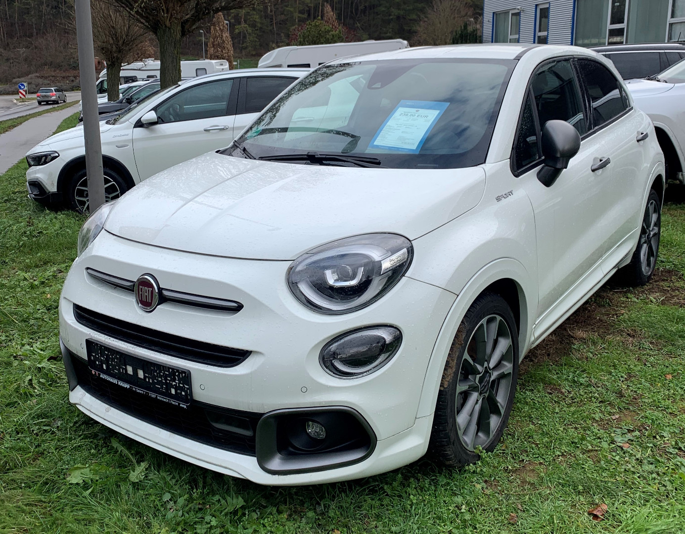 Fiat 500X Gebrauchtwagen Kaufen