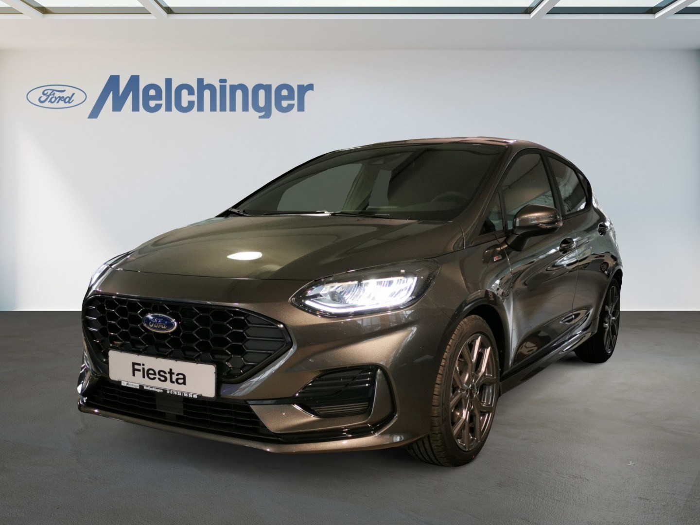 Ford Fiesta Gebrauchtwagen Kaufen